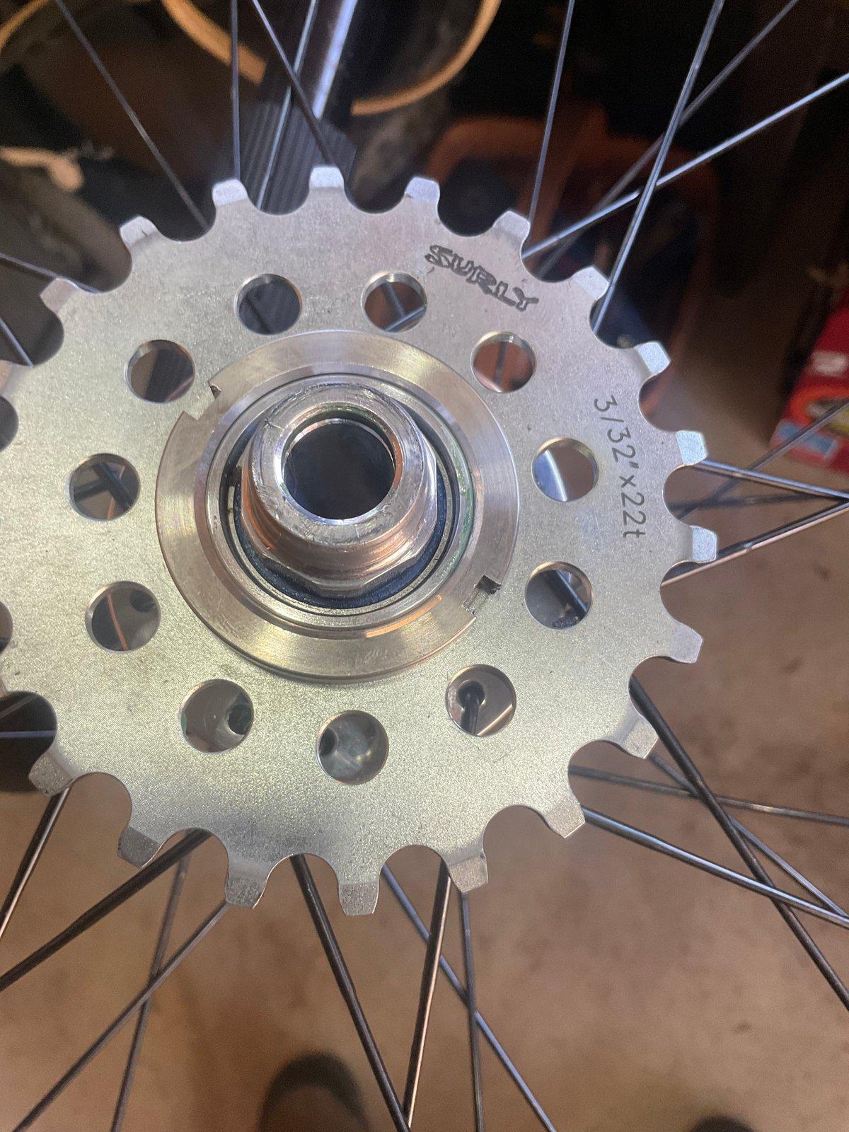Close-up of a Surly fixed cog and hub, marked 3/32 inch by 22 tooth, laced into a wheel