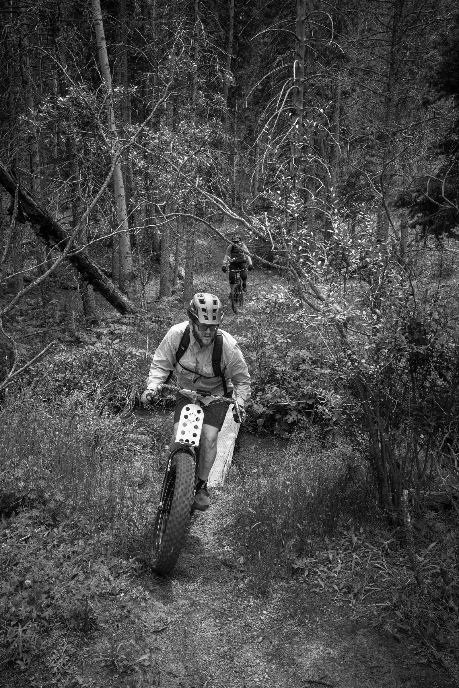 Black and white photo of two riders crossing a narrow plank over a creek, green brush closing in on both sides