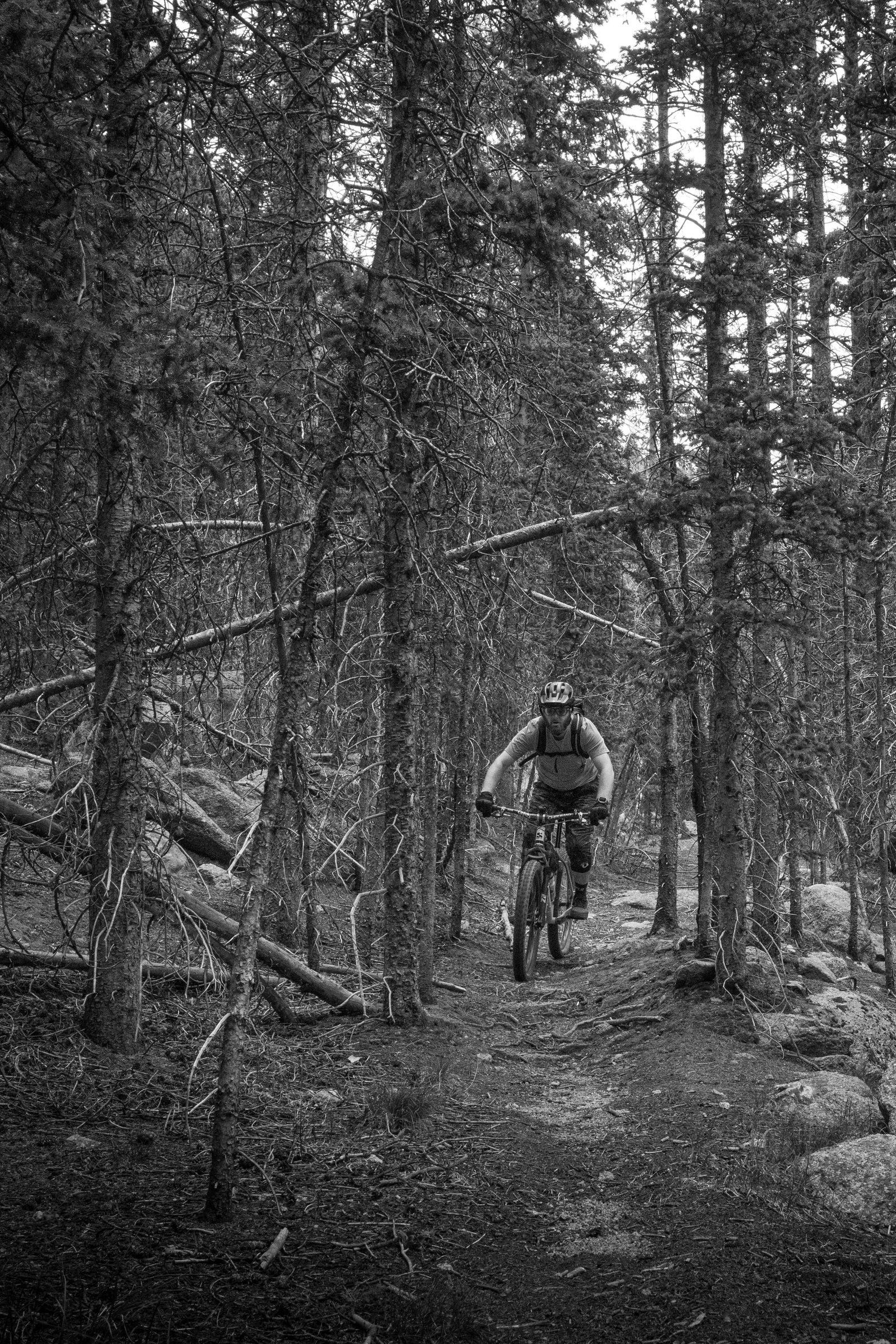 Black and white photo of a rider dropping through a forest of downed timber on loose rocky trail