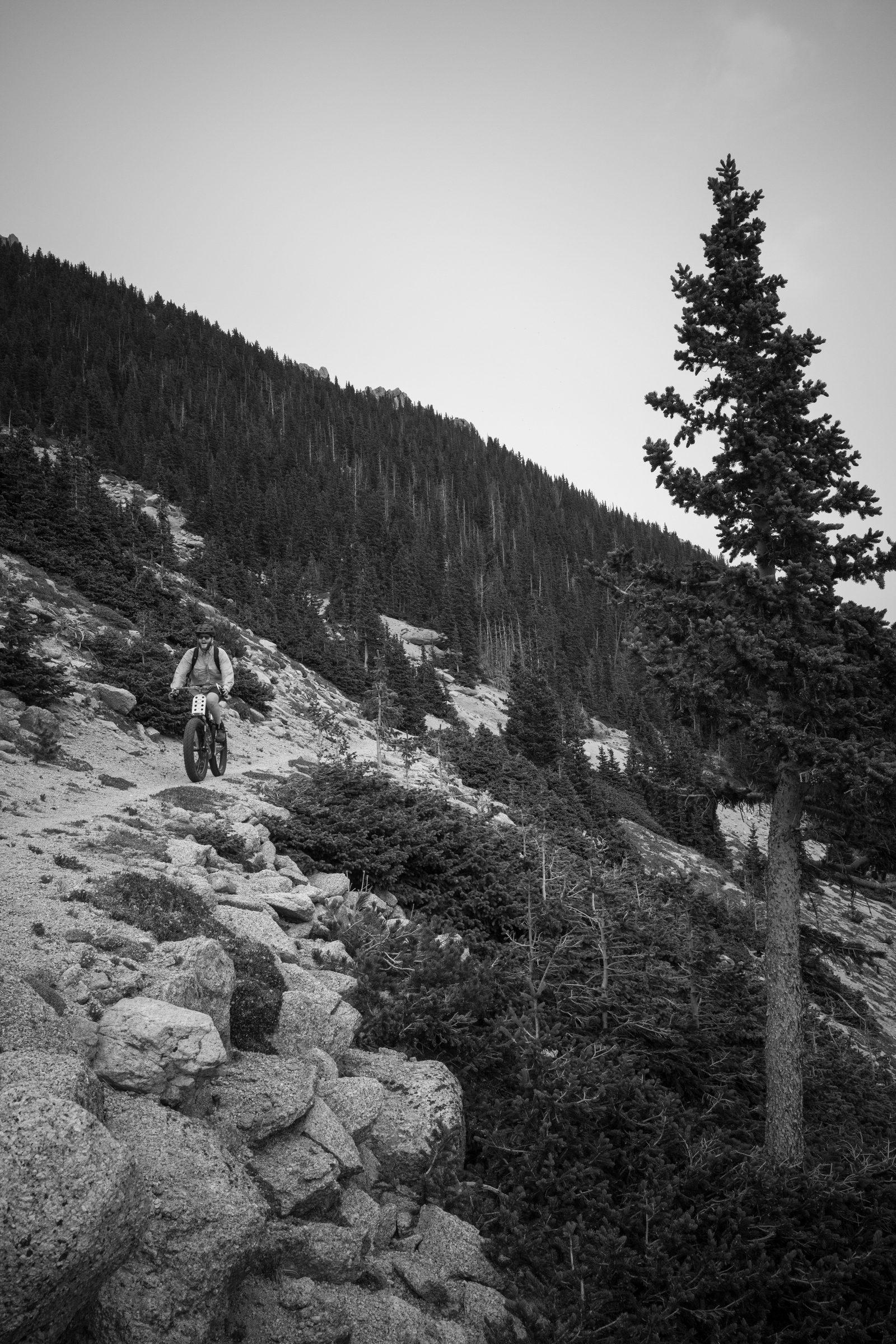 Black and white photo of a rider on exposed rocky sidehill trail below a lone spruce, mountain falling away beside the line