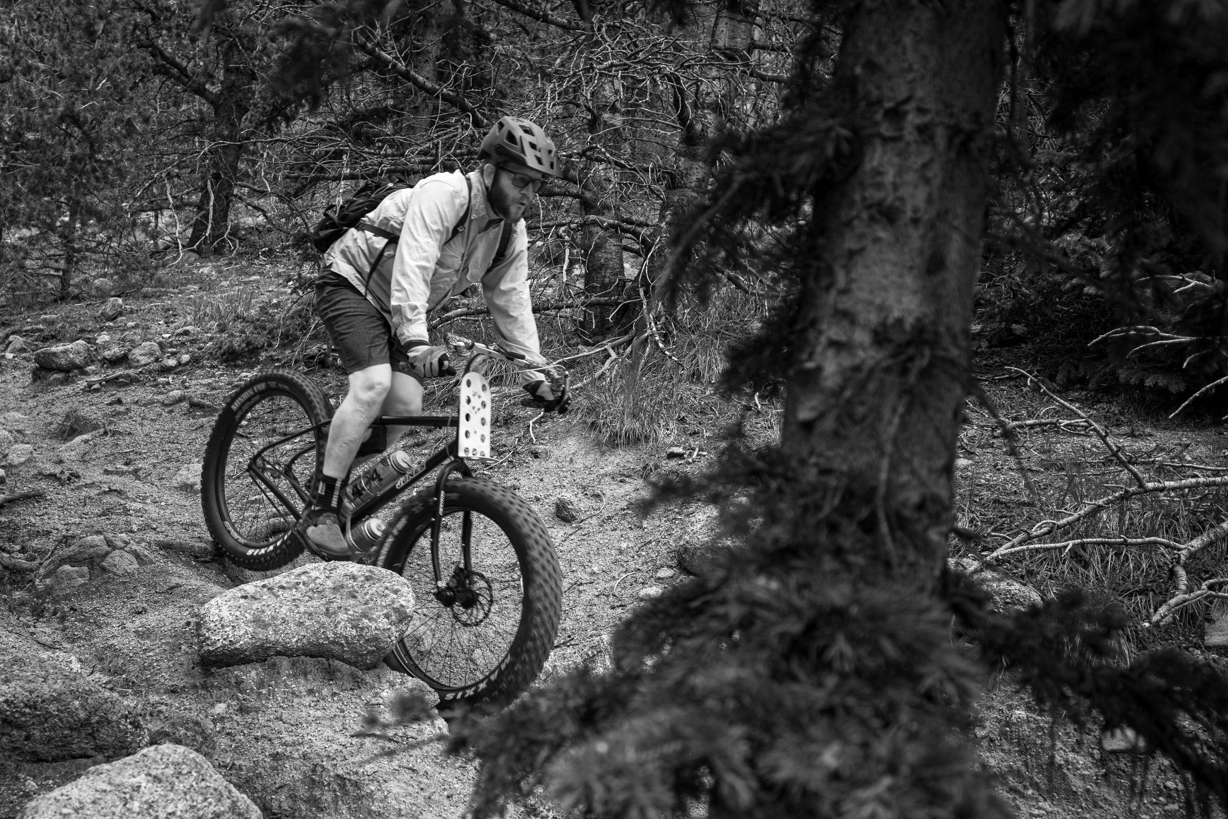 Black and white photo of a mountain biker threading loose, rocky singletrack past a large spruce on Pikes Peak