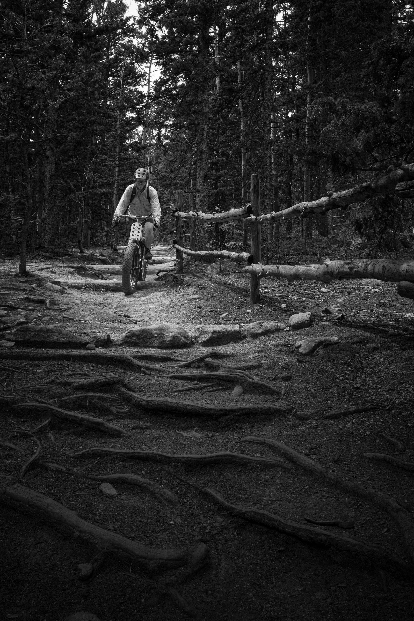 Black and white photo of a root-webbed technical trail section bordered by a low log fence