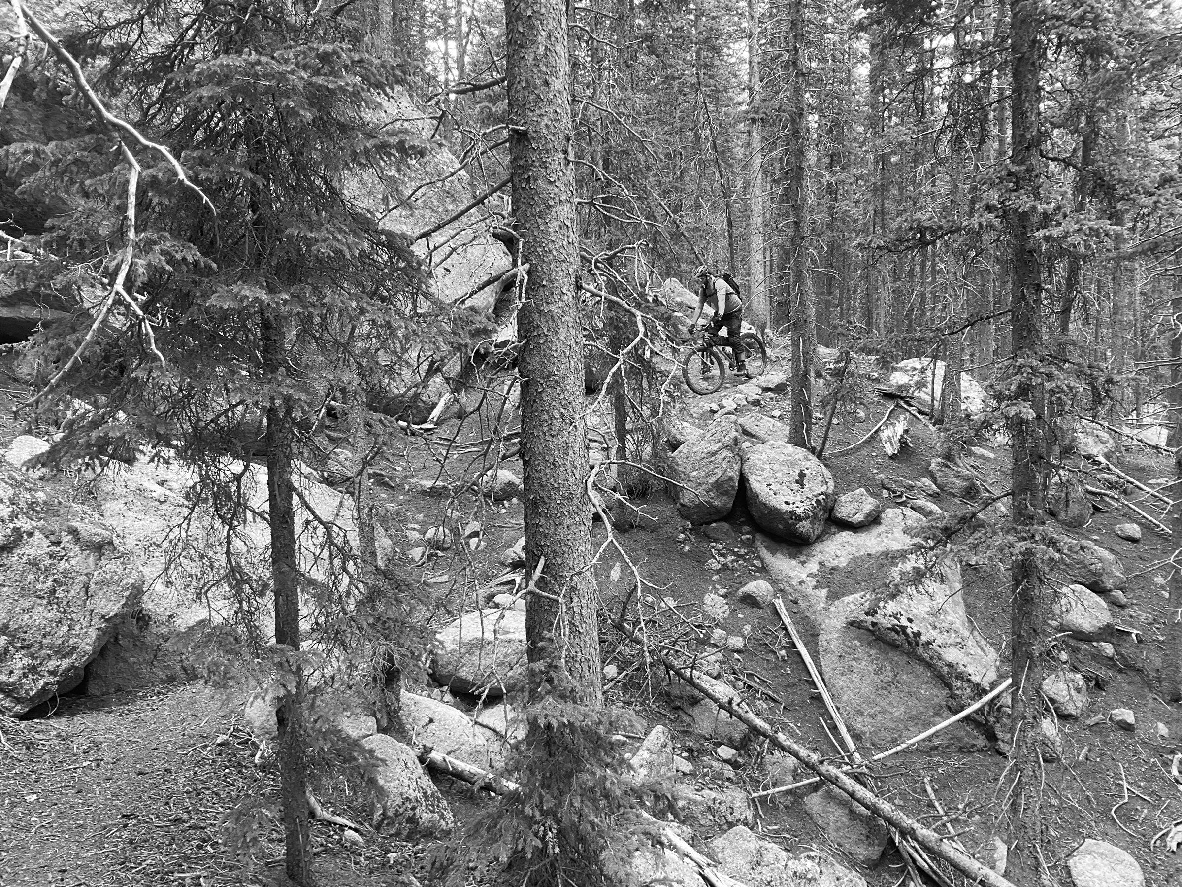Black and white photo of a lone rider picking down a rocky, timber-strewn line through dense spruce
