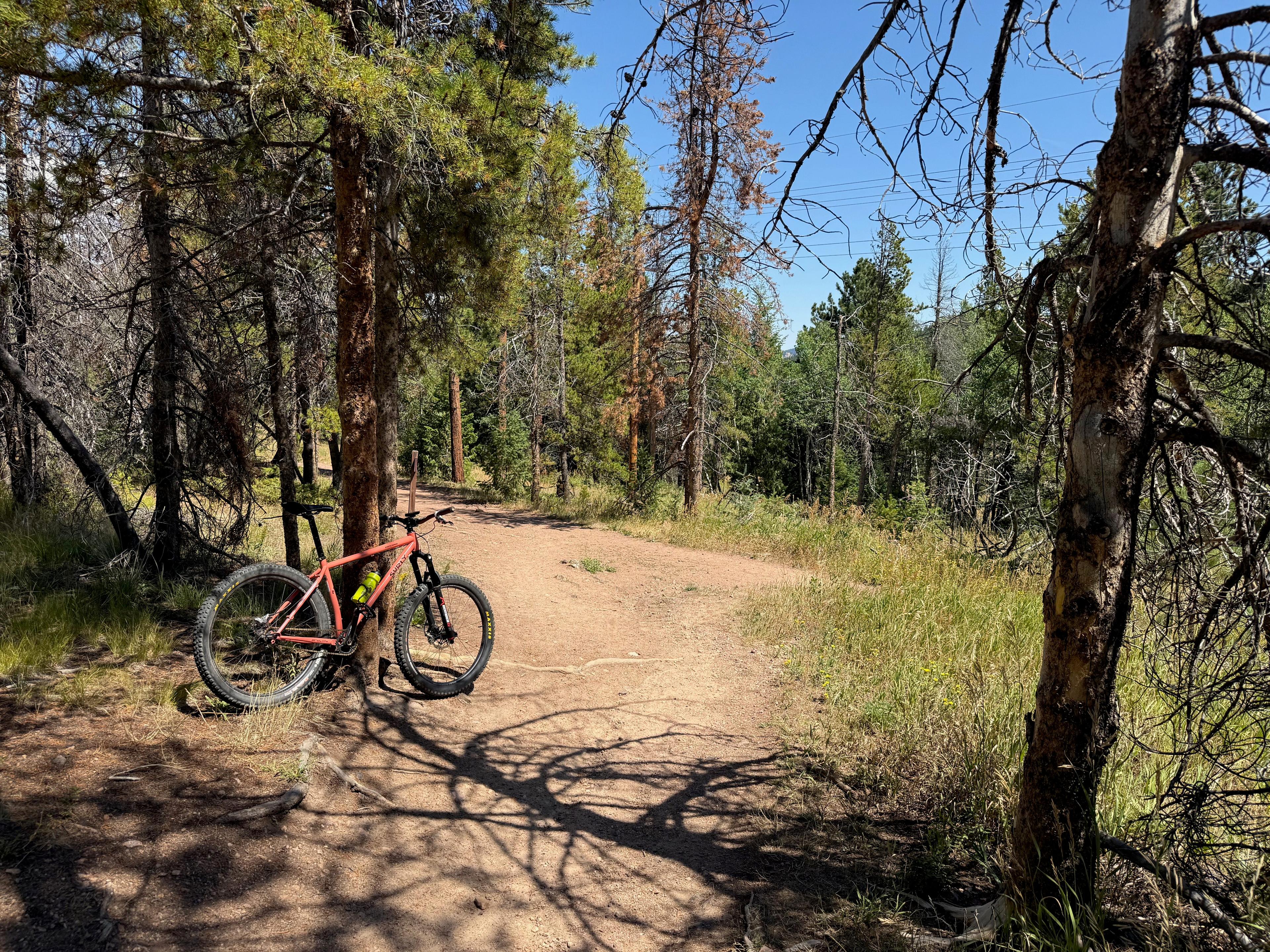 Orange Surly Karate Monkey leaning against a pine tree on a shaded dirt singletrack trail with dappled light through the forest