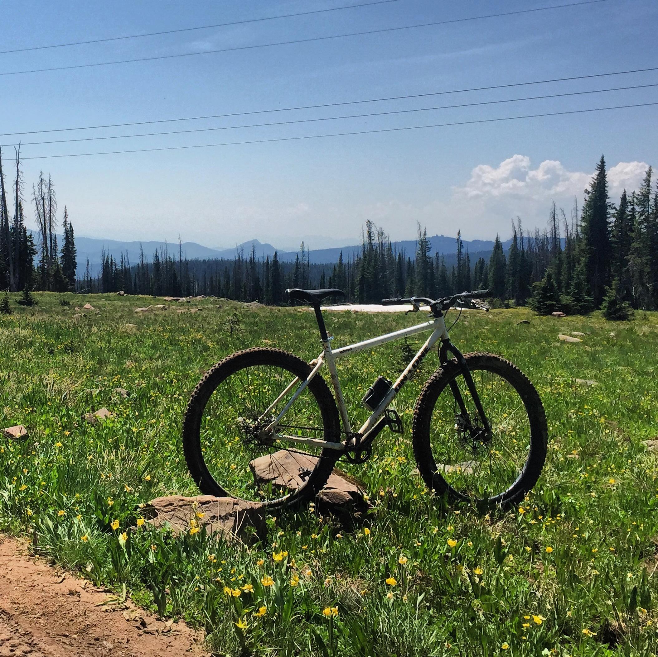 The Inbred standing in an alpine wildflower meadow with mountains and forest in the distance