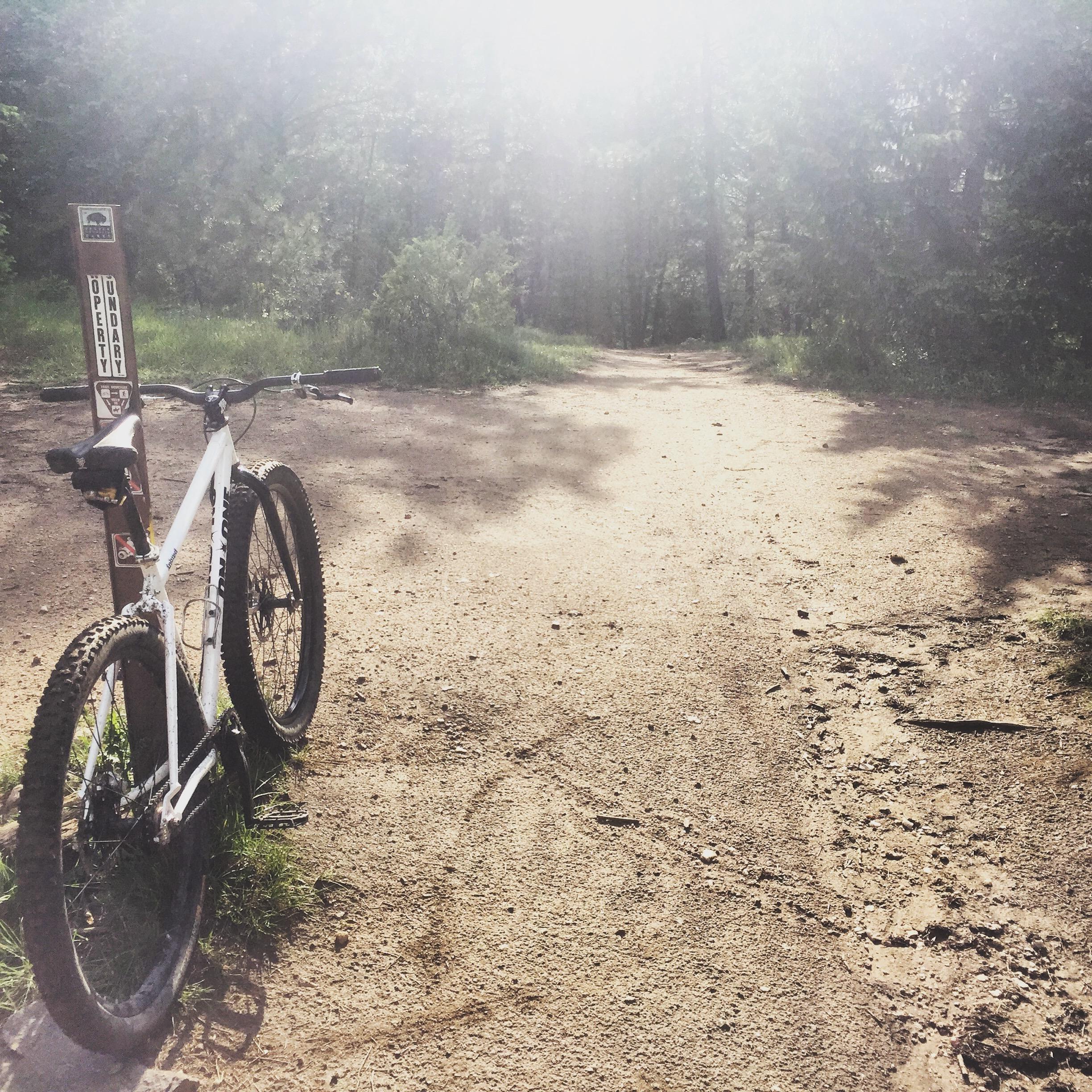 Side profile of the Inbred on a rocky trail with forest in the background