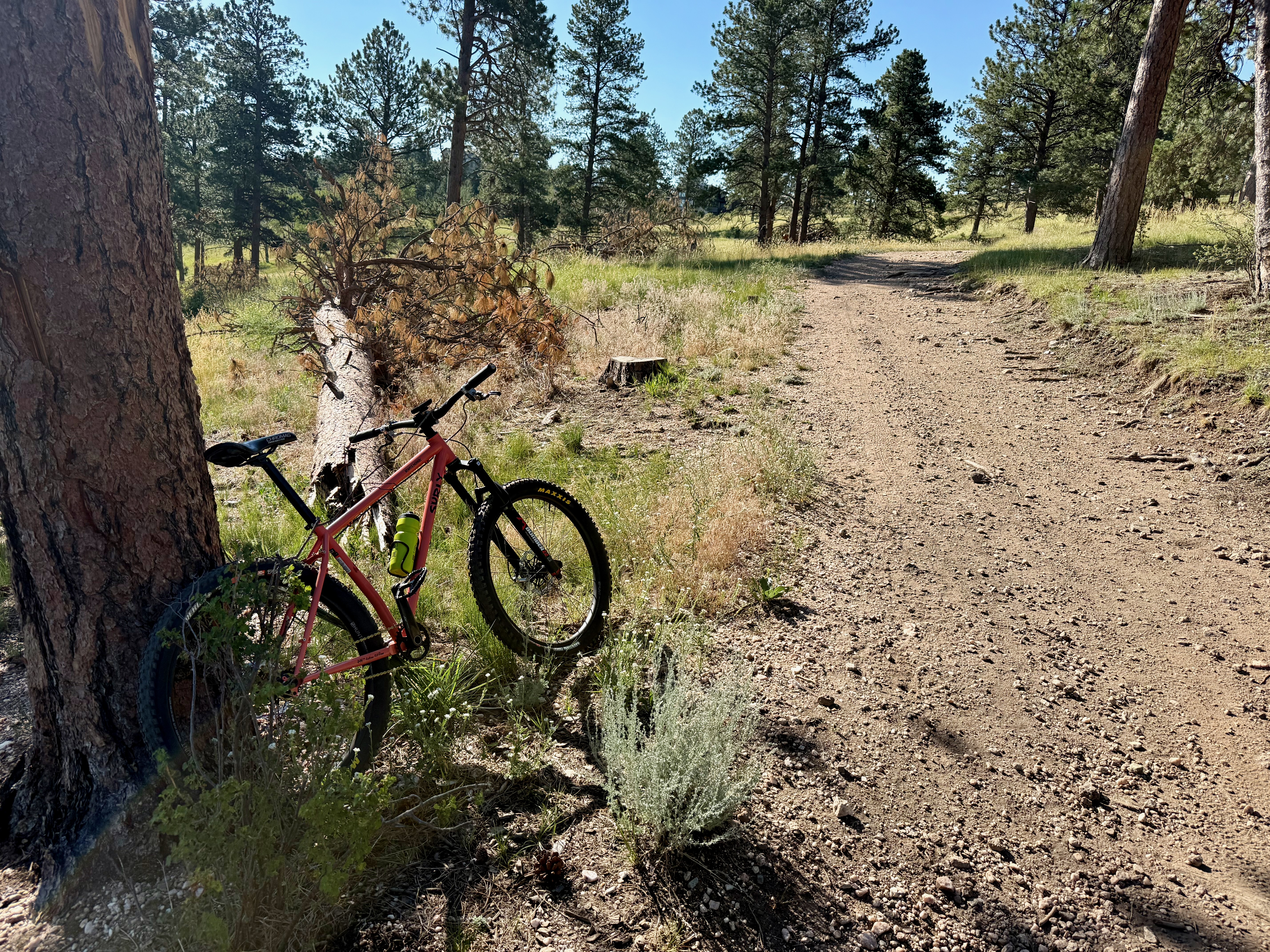 Karate Monkey leaning against a tree on a forest singletrack trail