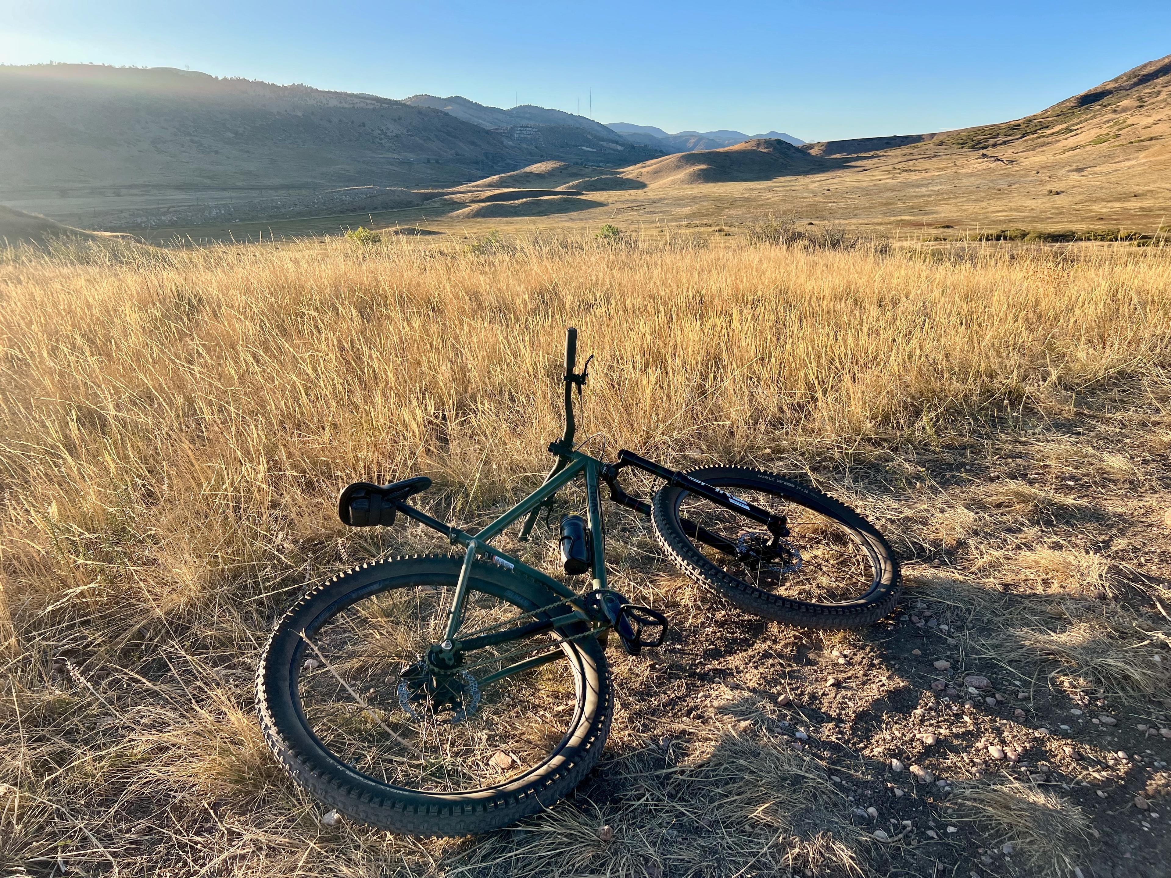 Surly Krampus lying in golden late-season grass in the Golden, Colorado foothills
