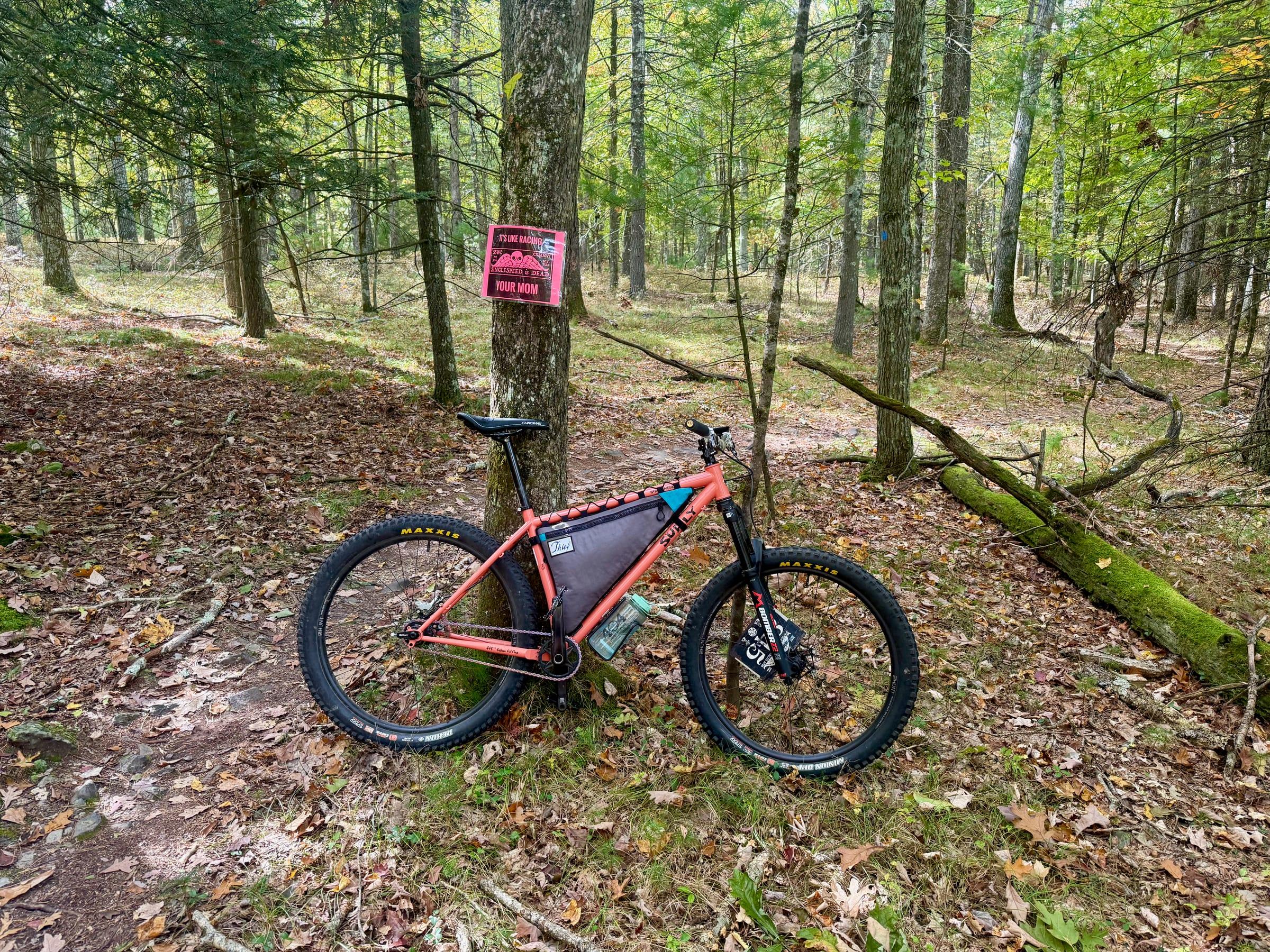 An orange Surly Karate Monkey leaning against a tree with a pink sticker on it making a joke about single speeds and racing, beside a moss-covered log on a leafy trail
