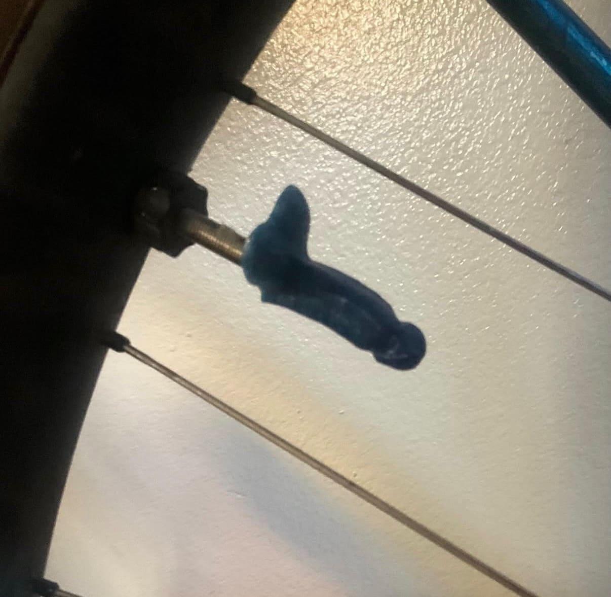 Close-up of a dildo zip-tied to a bike spoke, standard aid-station equipment at Single Speed USA
