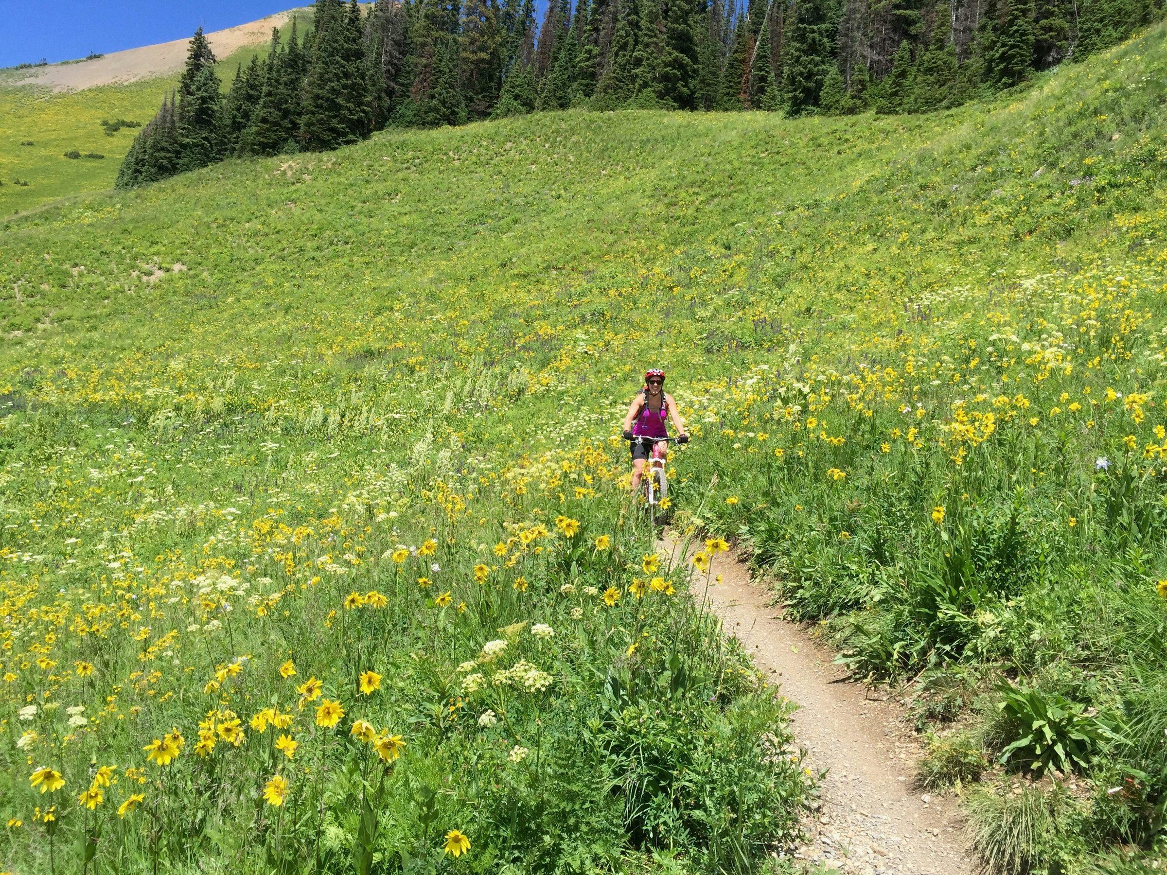 A woman in a pink jersey riding a mountain bike up a narrow singletrack through a green alpine meadow full of yellow wildflowers, a forested slope behind her